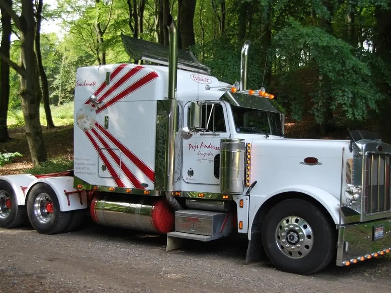 Billede 1 - - - - peterbilt 379