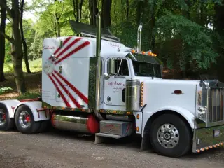 - - - peterbilt 379