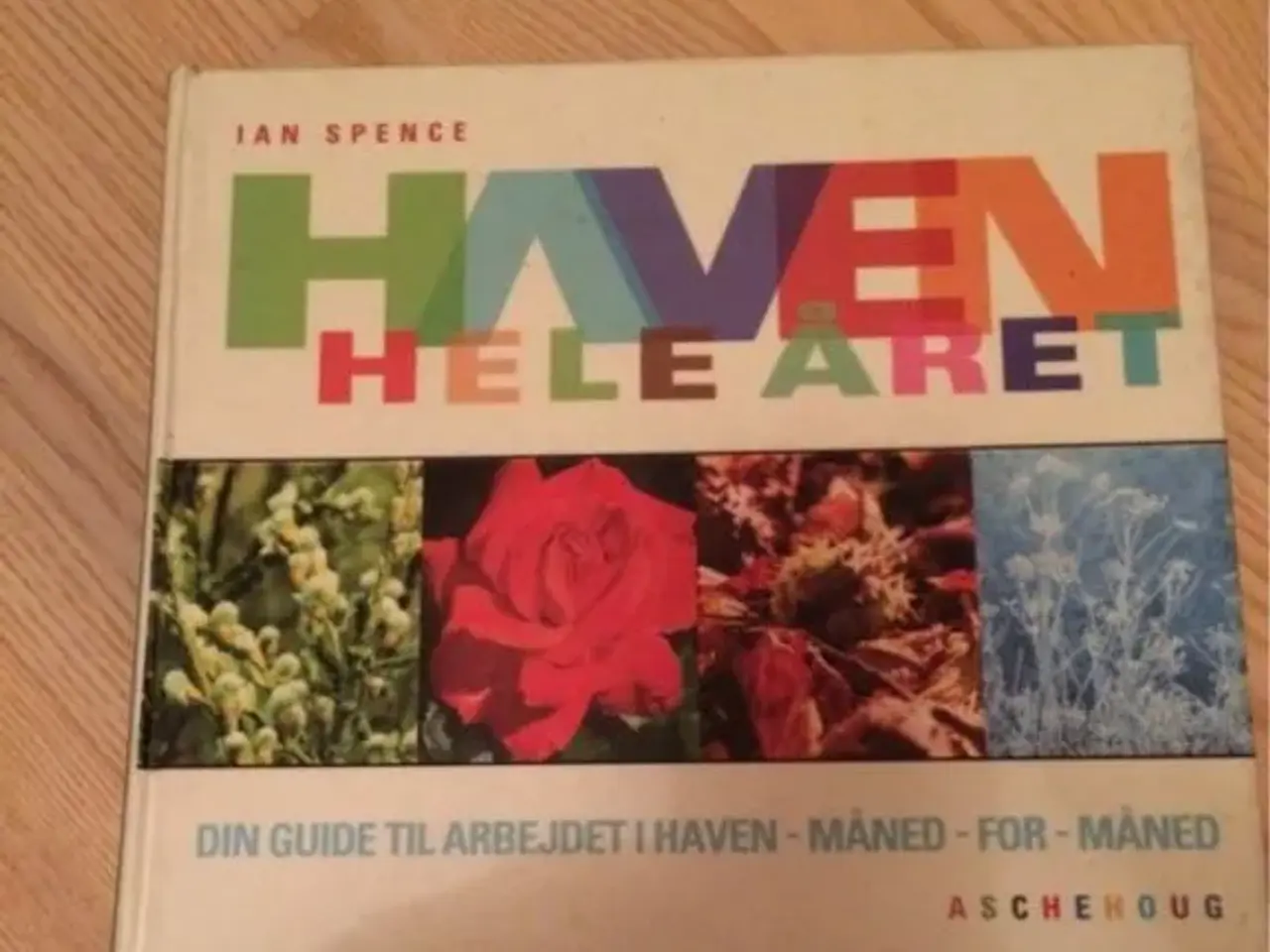 Billede 1 - Haven hele året.