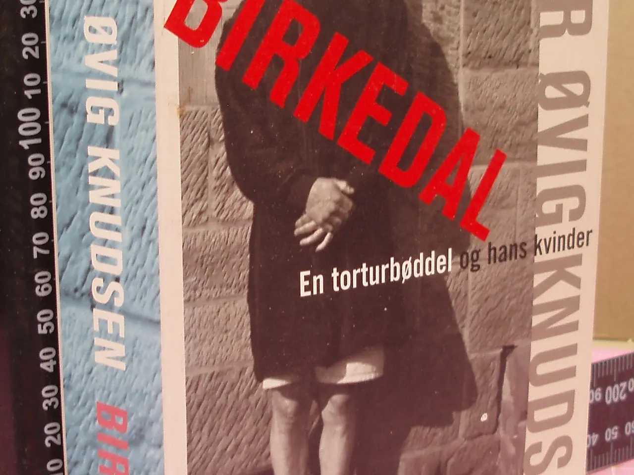 Billede 1 - Birkedal, en torturbøddel og hans kvinder