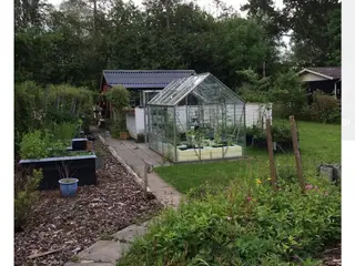 Skøn kolonihave sælges