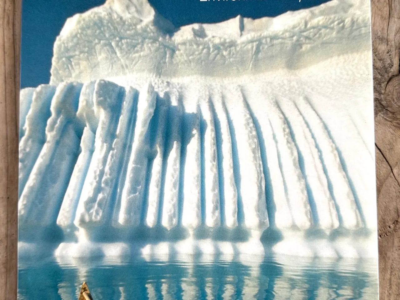 Billede 1 - Artic Pollution Issues