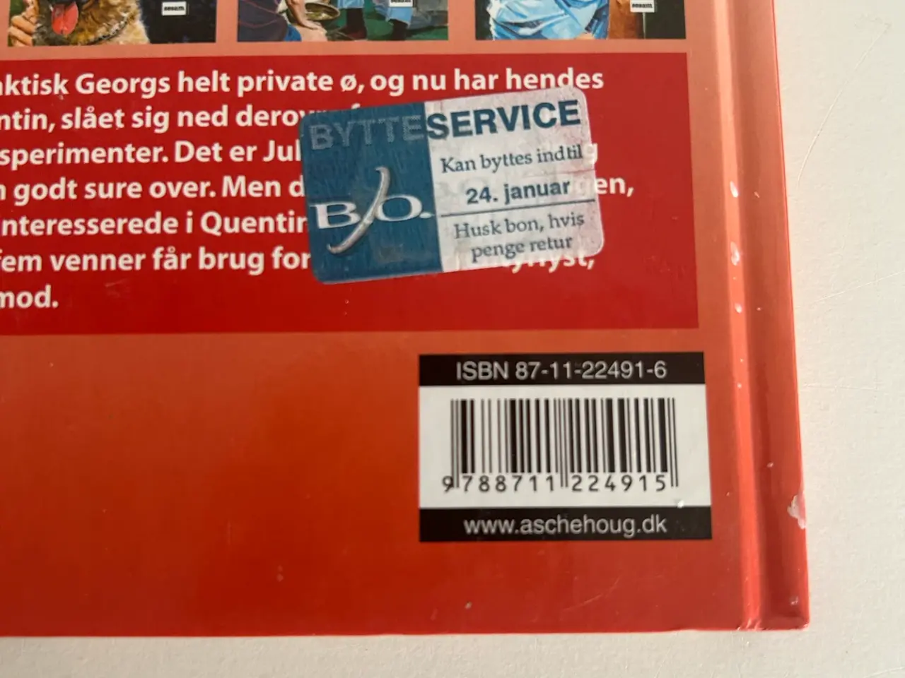Billede 3 - De 5 - på øen igen