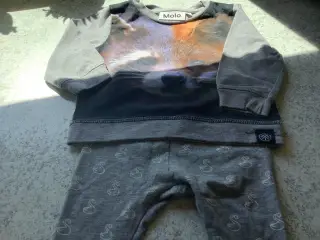 Helt nyt sæt Molo (bluse og leggings) str. 68 pige