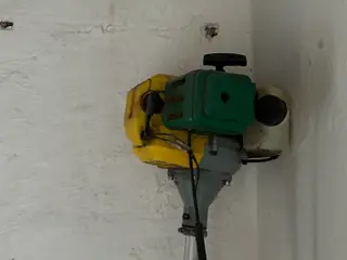 Buskrydder