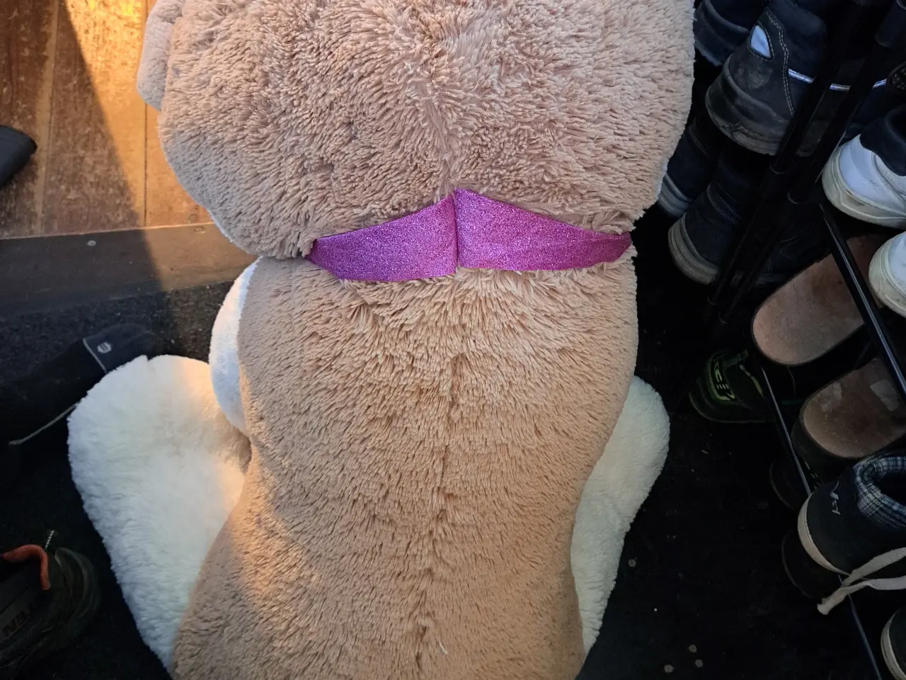 Billede 2 - Stor bamsehund