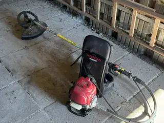 Buskrydder