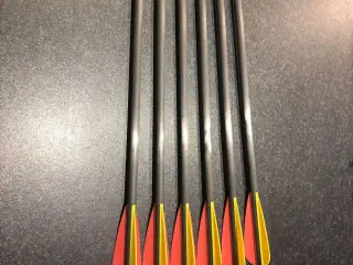 Carbon pile spine 340