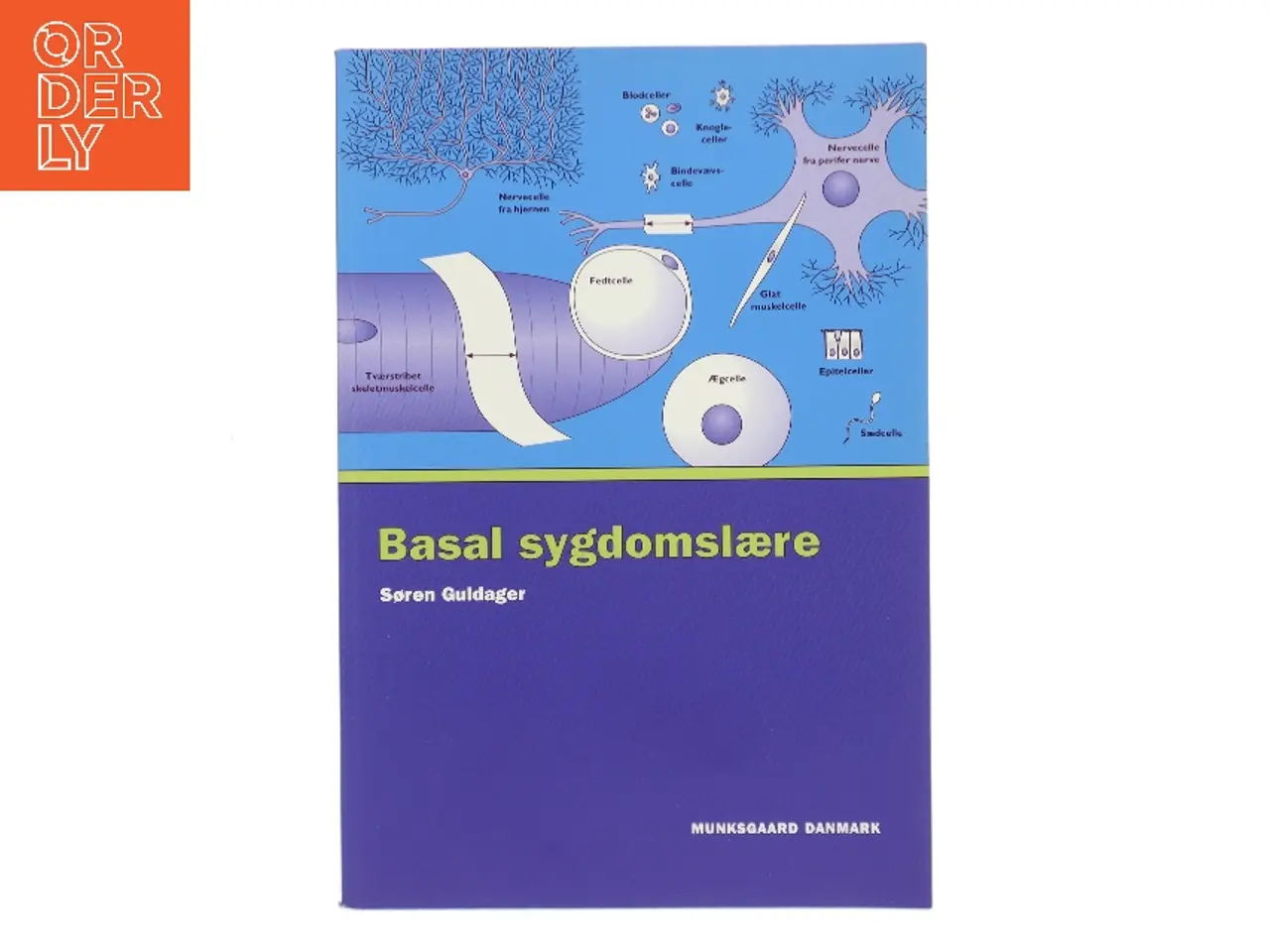 Billede 1 - Basal sygdomslære af Søren Guldager (Bog)