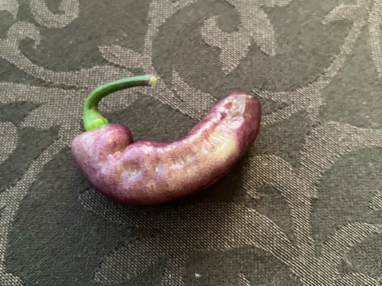 Billede 2 - chili frø - se tekst felt