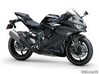 Kawasaki ZX4RR