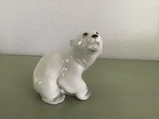 Sød bjørn