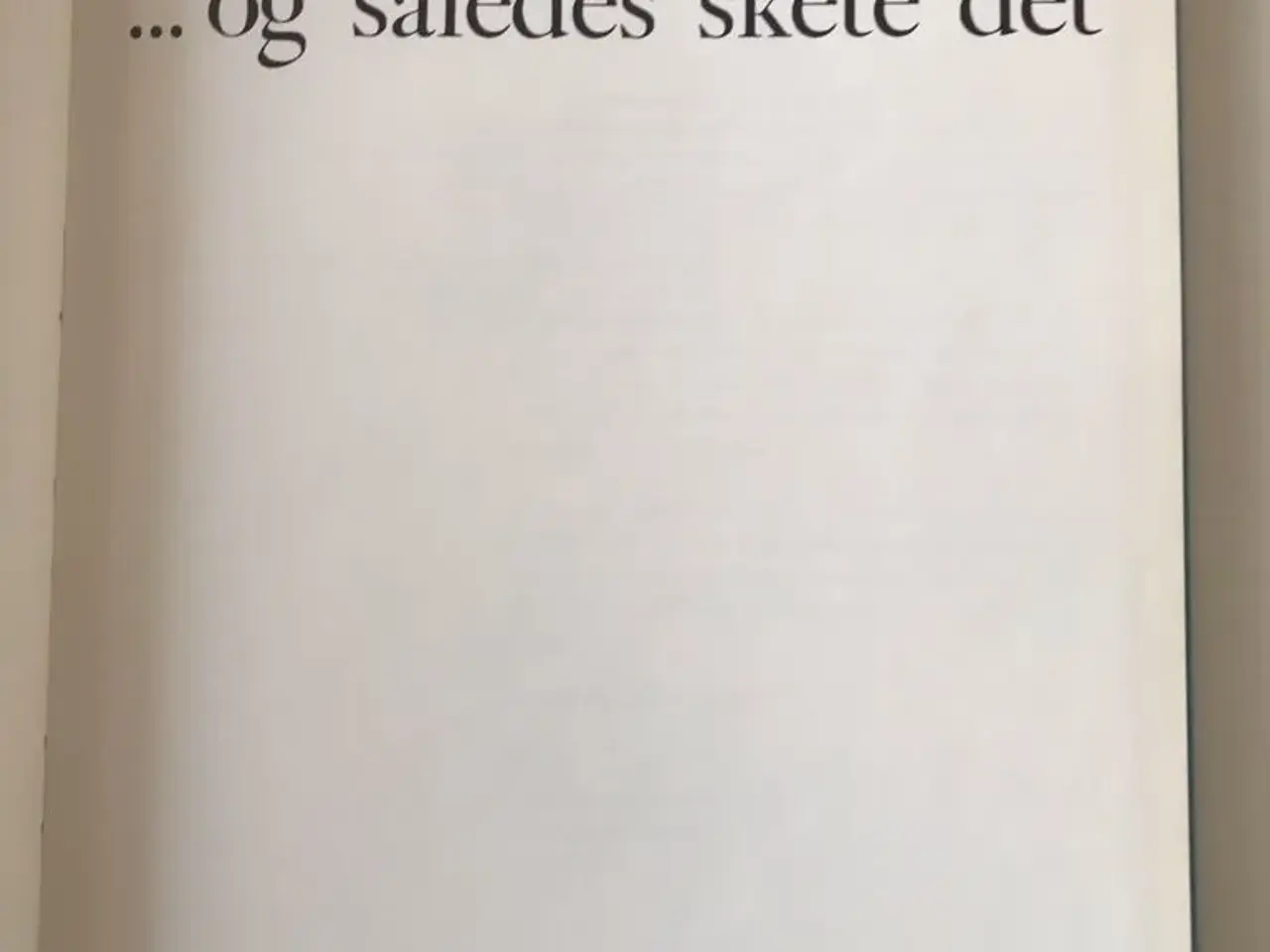 Billede 2 - Således skete det