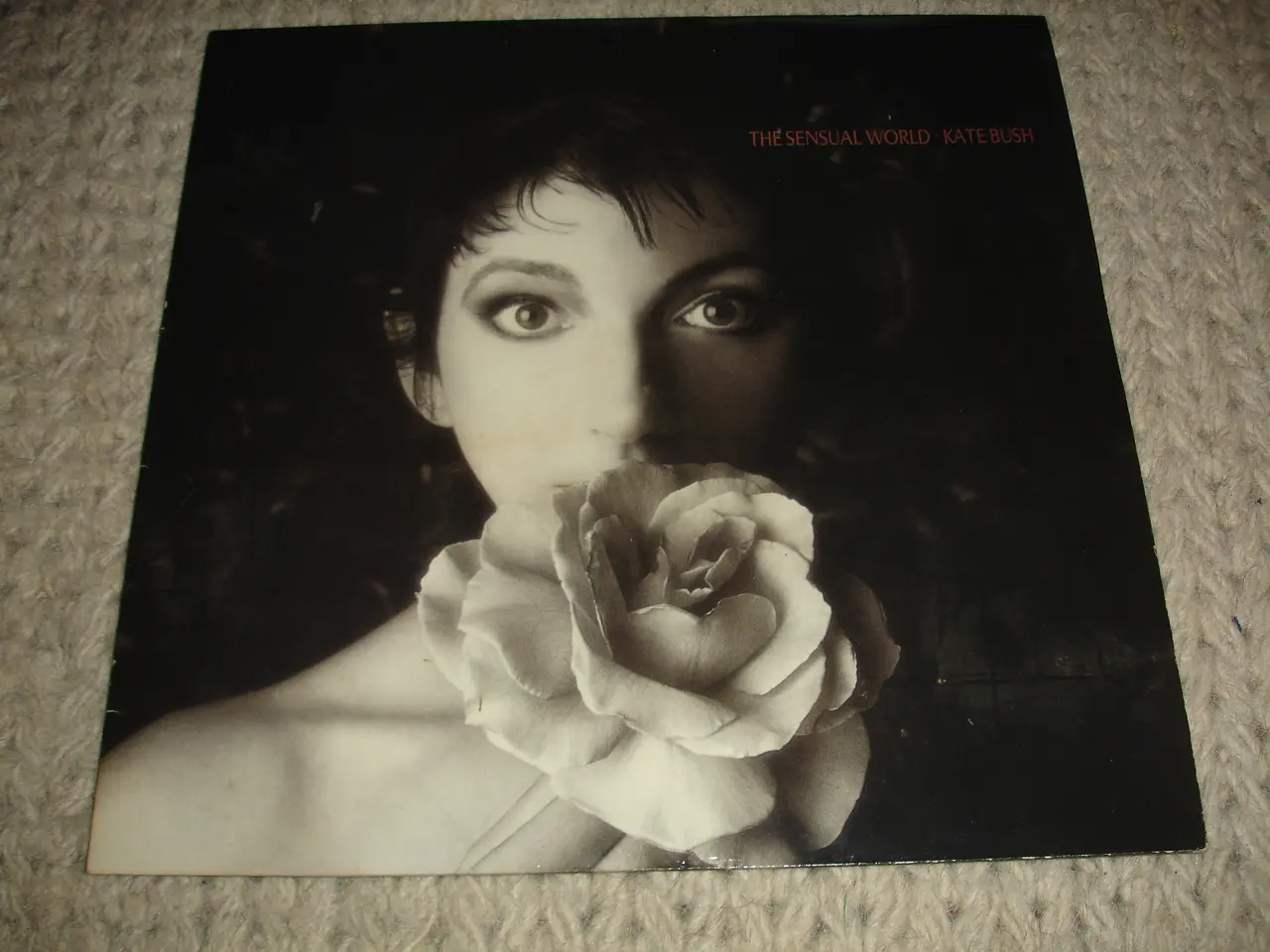 Billede 2 - (Sender gerne) Kate Bush – The Sensual World