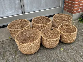 Kurve, nye