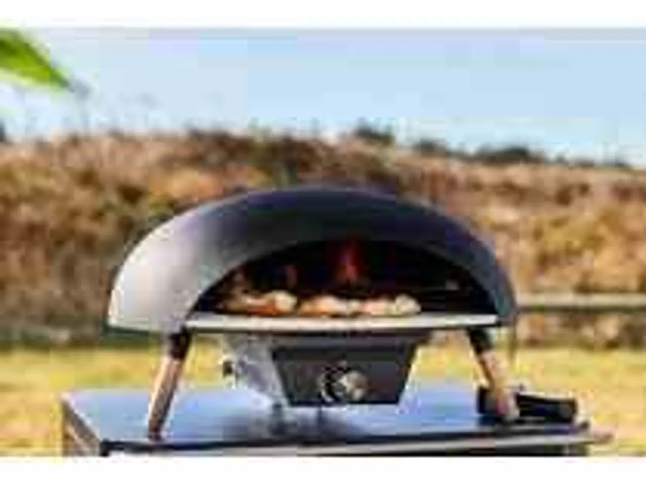 Billede 1 - Le Feu Turtle 3.0 pizzaovn til gas