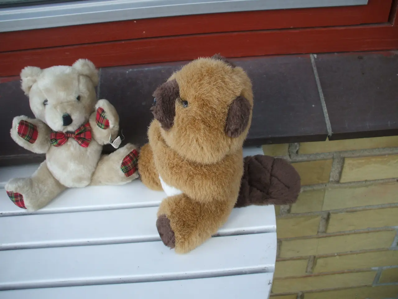 Billede 2 - Bamse og bæver