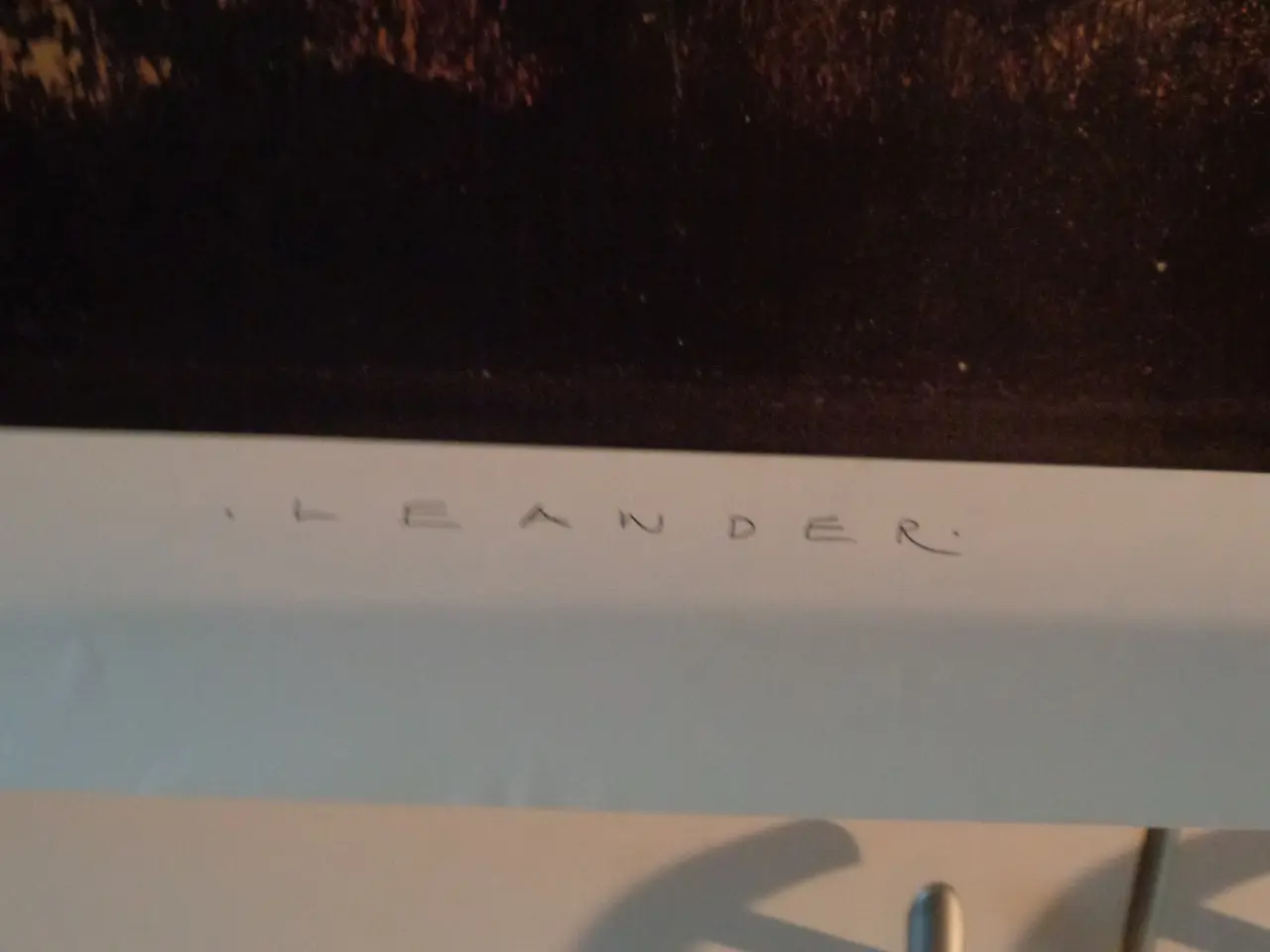 Billede 3 - Mogens Leander