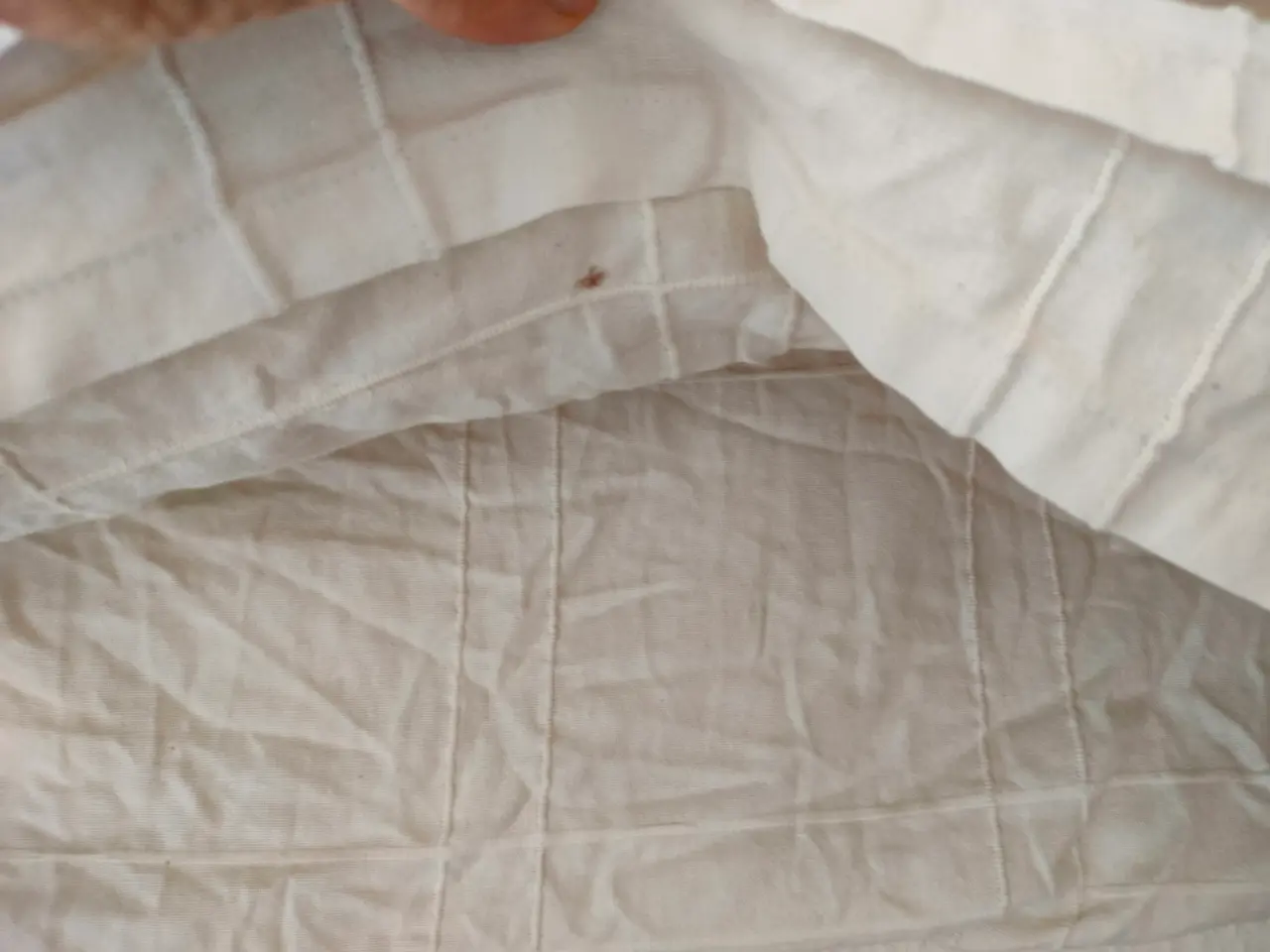 Billede 3 - Sofacover 2-3 personer