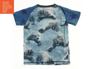 Børne T-shirt med tigerdesign fra Molo (str. 110)