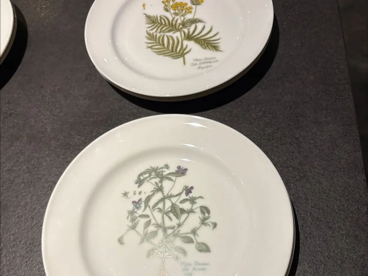 Billede 3 - Flora Danica tallerkener sælges