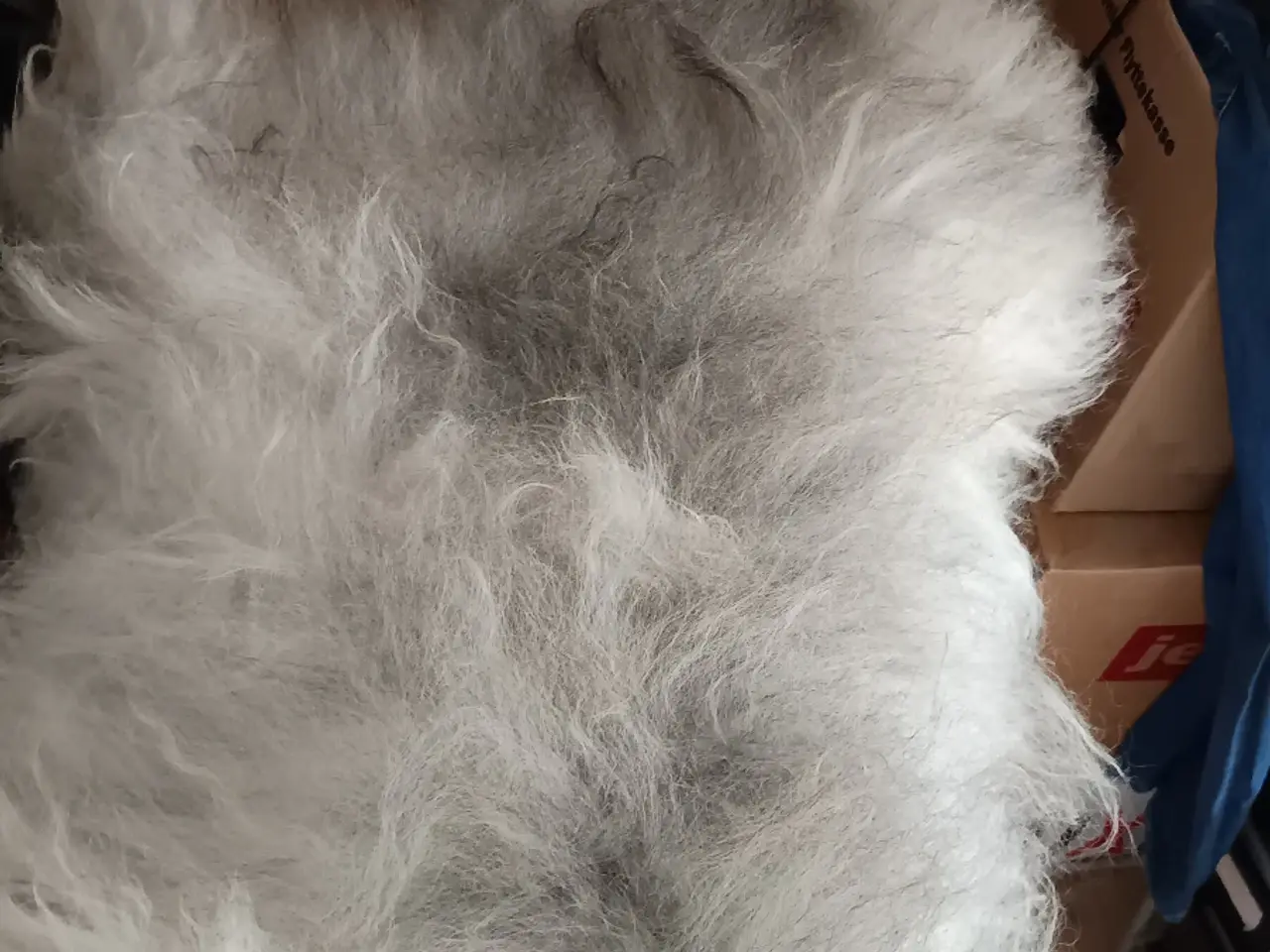 Billede 1 - Smukt langhåret lammeskind i grå/hvid 🐑🤍