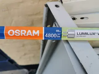 Lysstofrør t8 og t5