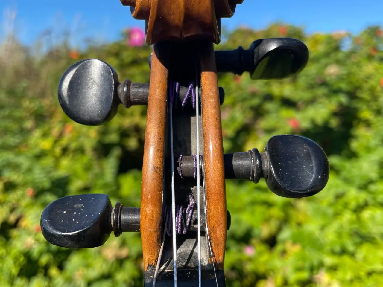 Billede 4 - Violin fra 1885