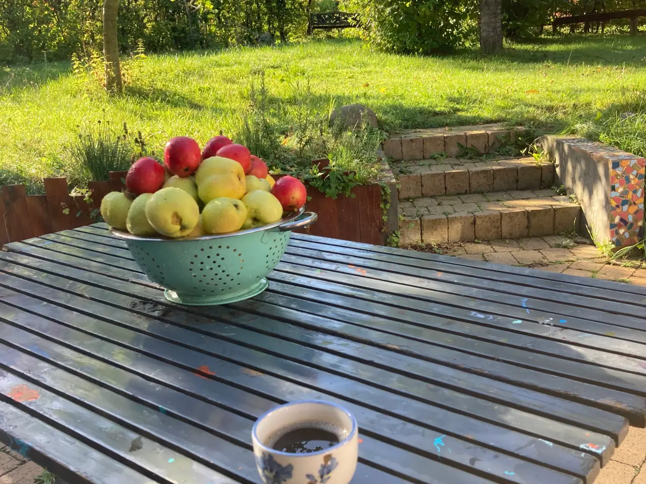 Billede 2 - Kolonihave i Enghaven Havekoloni, nær Odense C