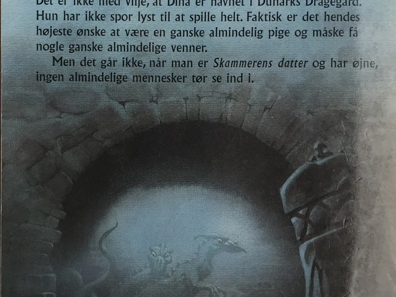 Billede 2 - Skammerens datter - Lene kaaberbøl
