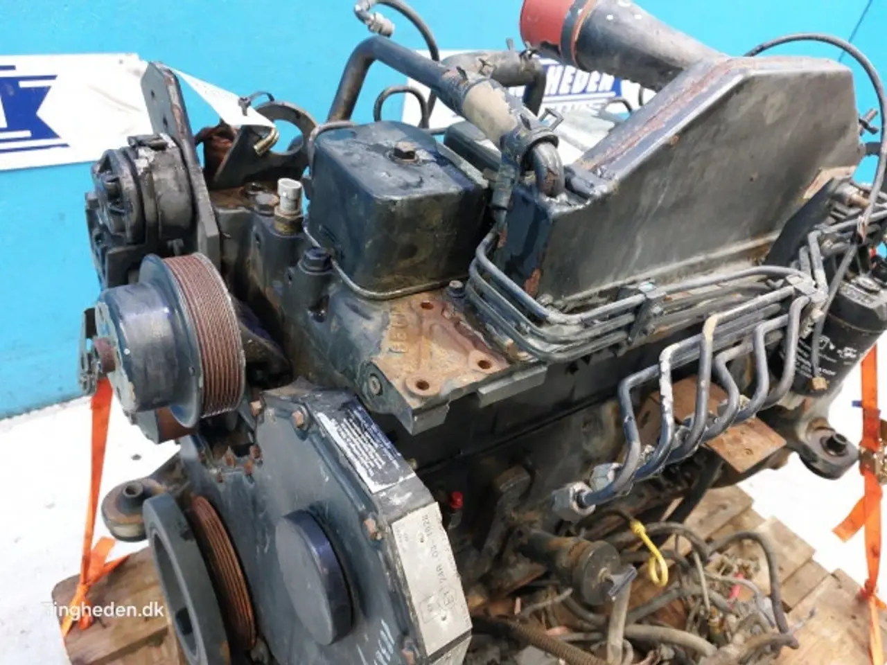 Billede 18 - Cummins 6TA-590 Motor 183841A4