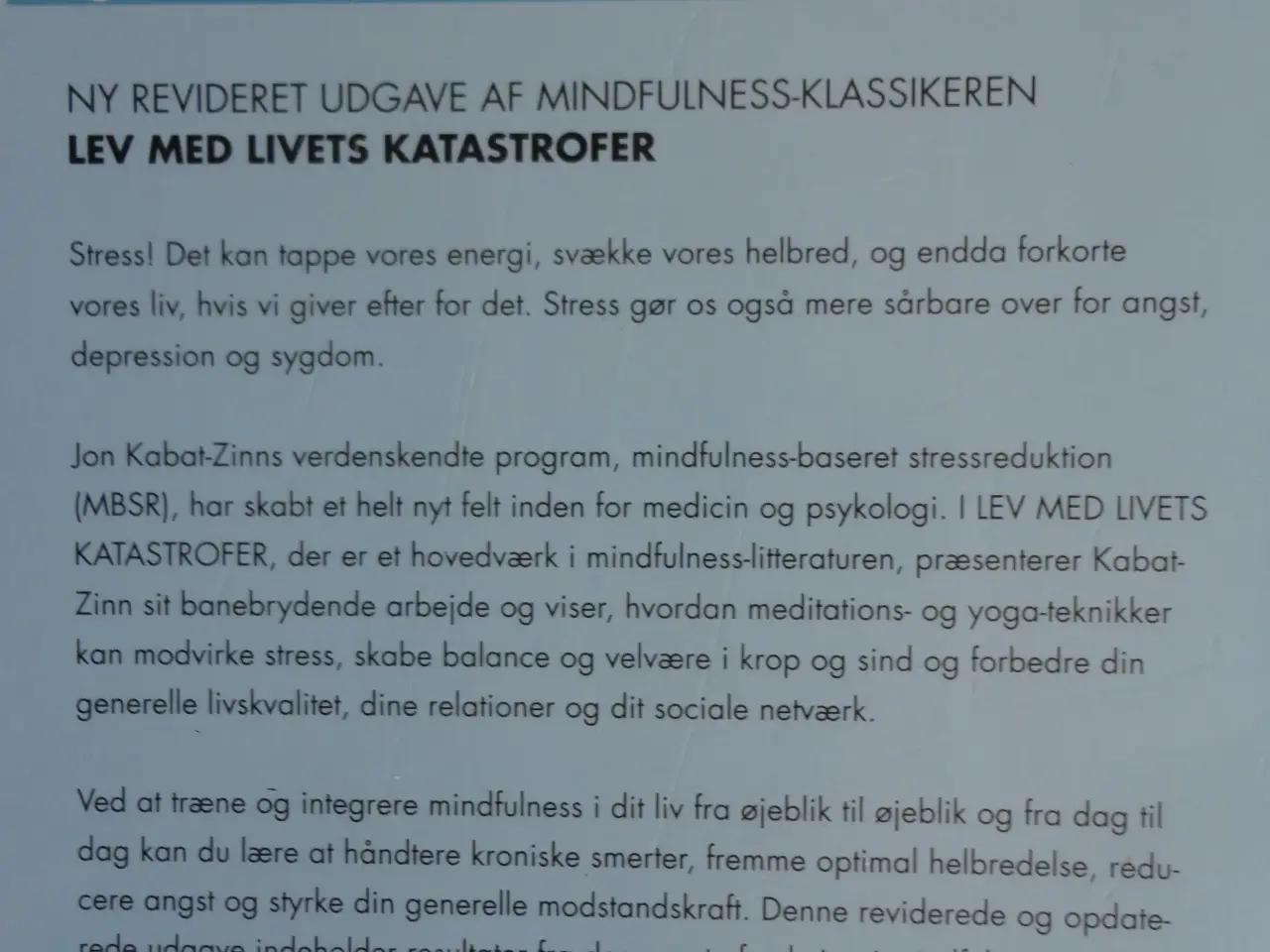 Billede 2 - Lev med livets katastrofer :