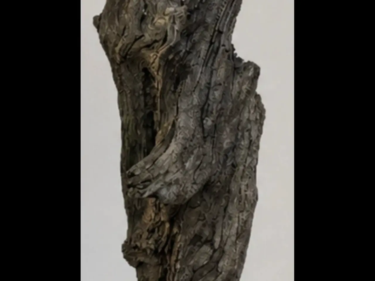 Billede 2 - Drivtømmer Skulptur