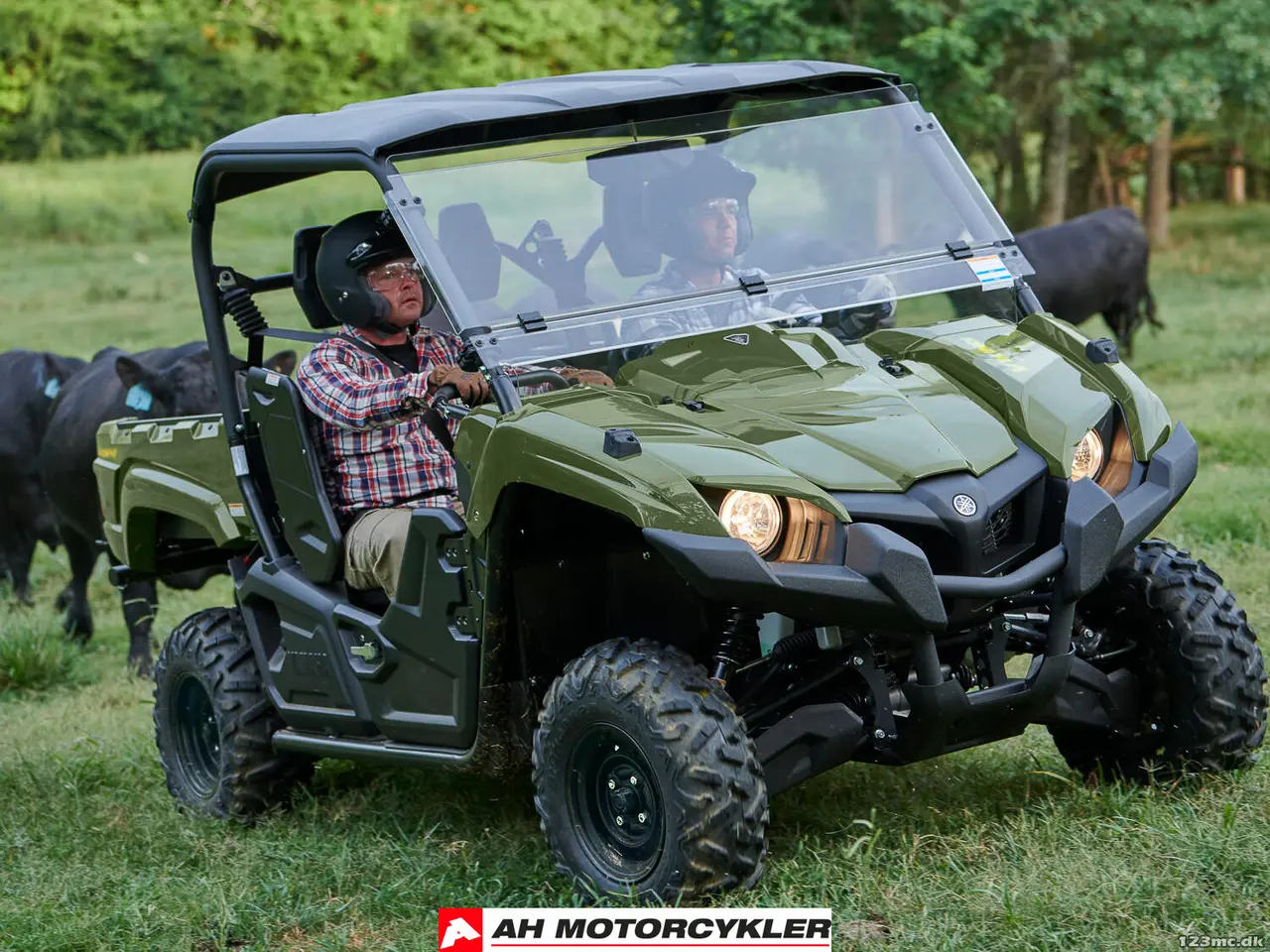 Billede 7 - Yamaha YXM 700 Viking EPS Yamaha Blue Traktor