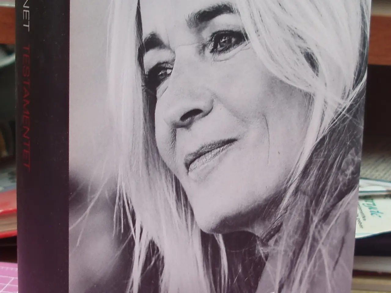 Billede 1 - Testamentet af Anne Linnet