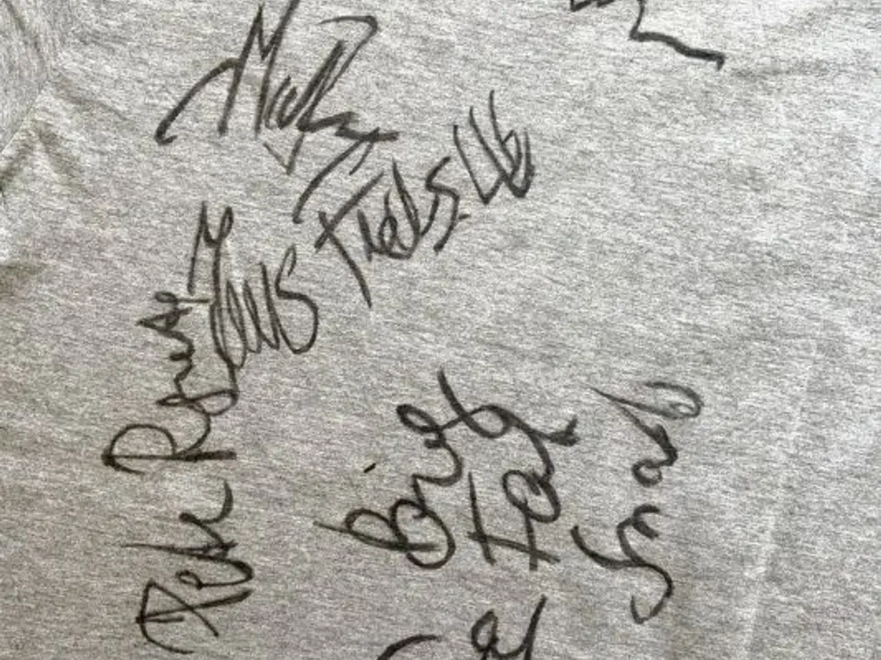 Billede 4 - Big Fat Snake t-shirt med autografer