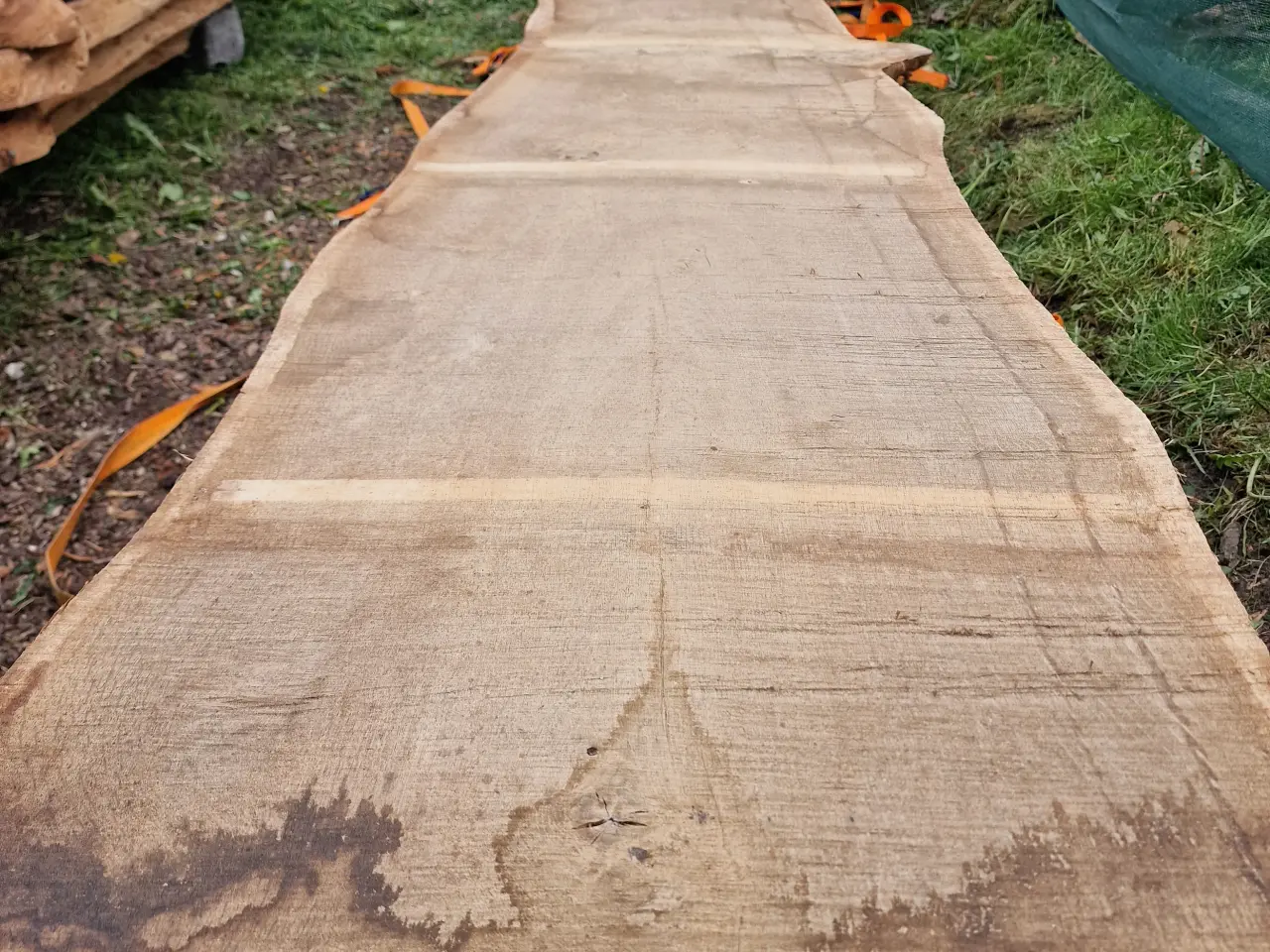 Billede 5 - Store Ege Planker 