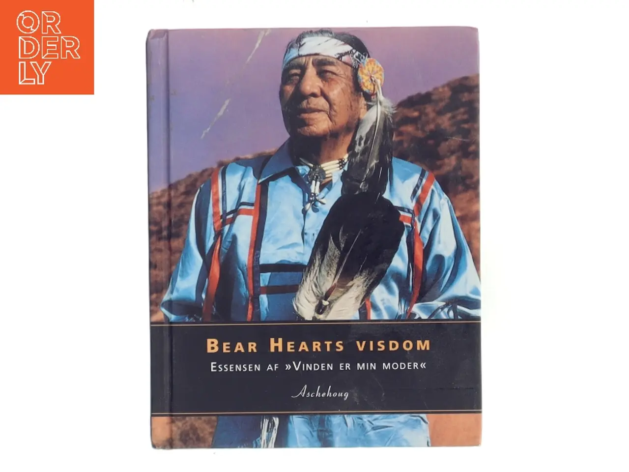 Billede 1 - Bear Hearts visdom : essensen af Vinden er min moder af Bear Heart (Bog)
