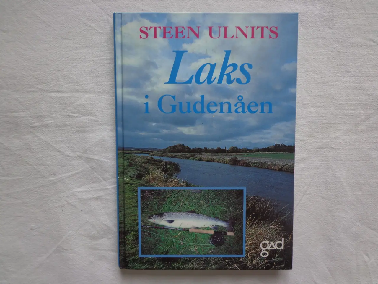 Billede 1 - Laks i Gudenåen  :