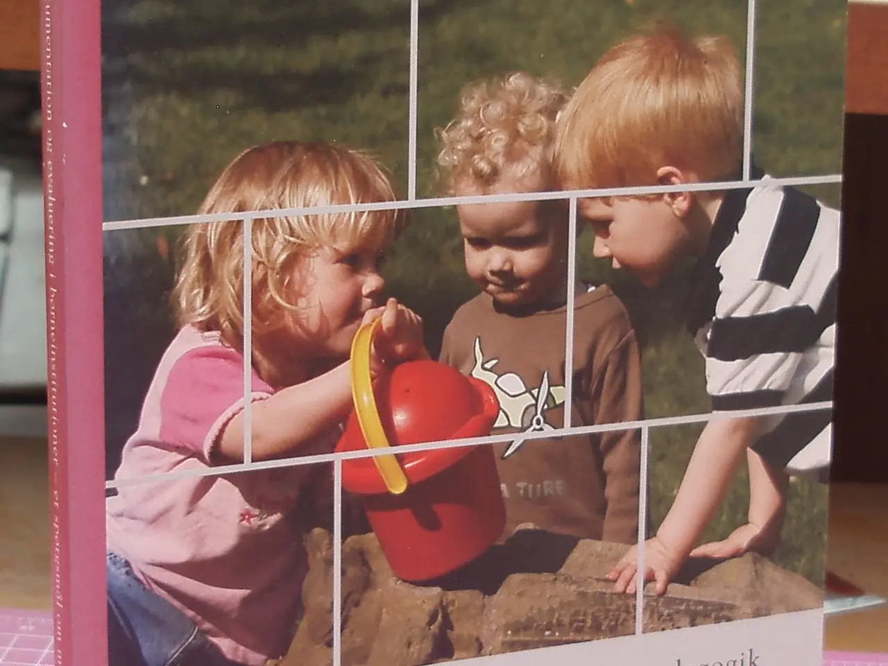 Billede 1 - Dokumentation og evaluering i børneinstitutioner
