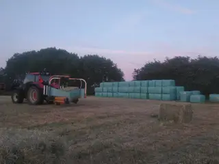 Wrap 