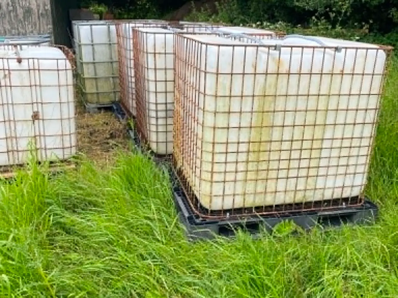 Billede 2 - Palletank 1000L
