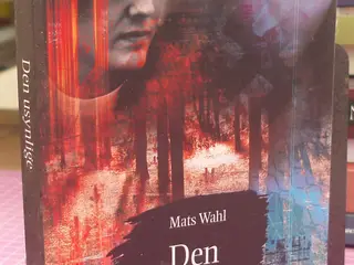 Den usynlige af Mats Wahl