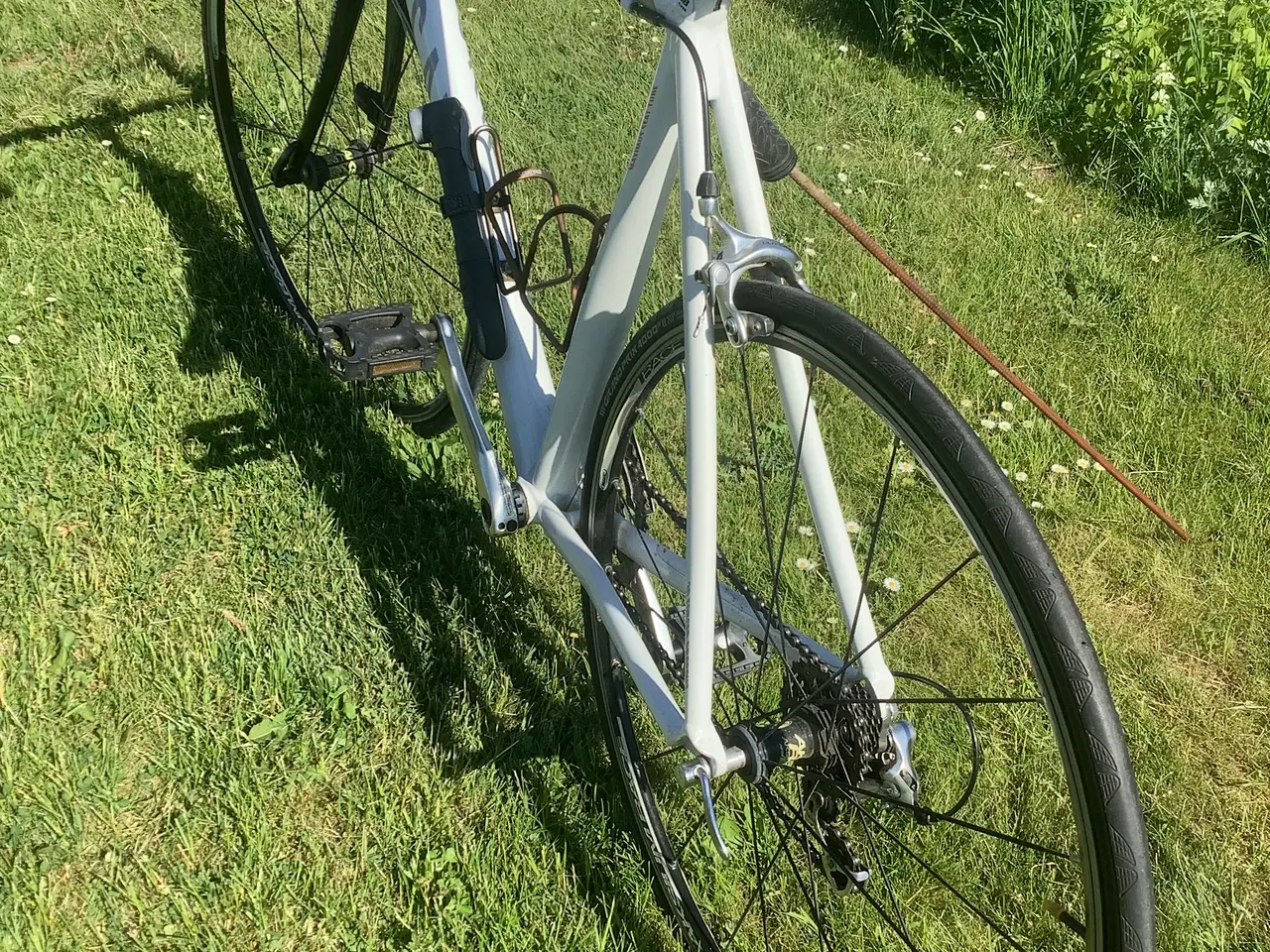 Billede 3 - Canyon Tour de France racer...