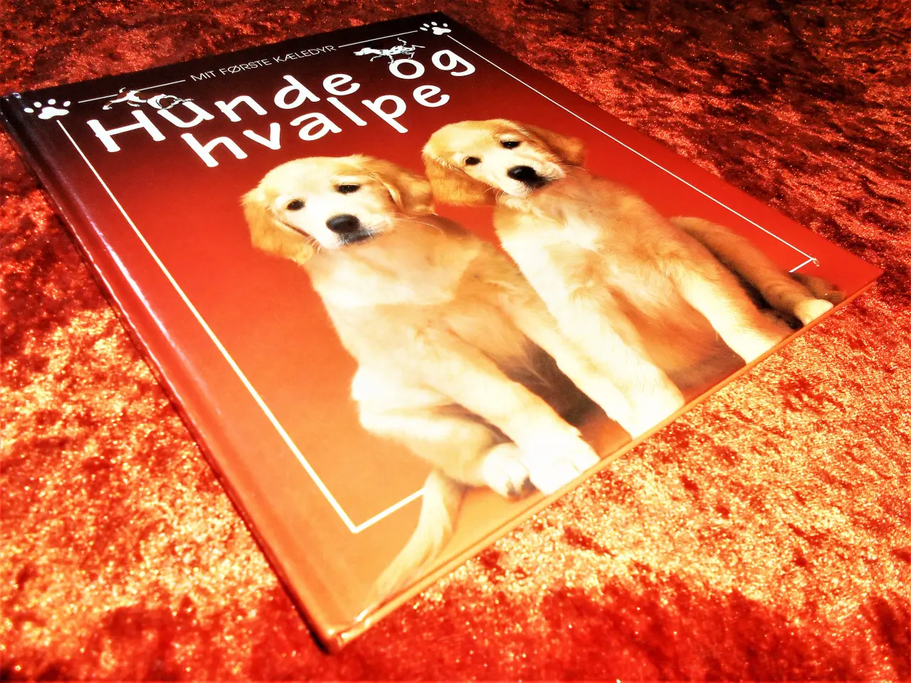 Billede 1 - Hunde og hvalpe, Katherine Starke