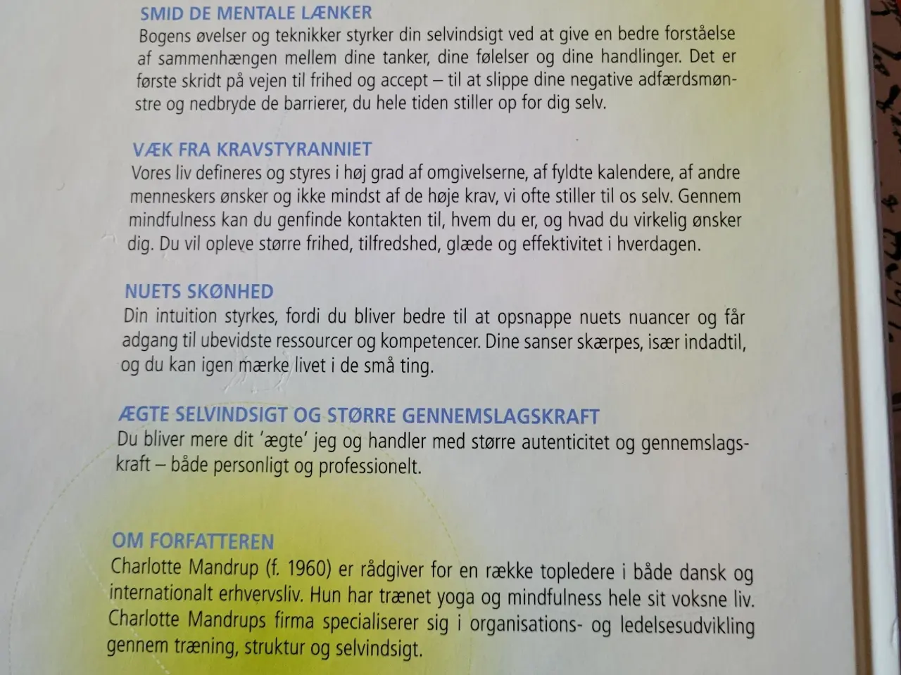 Billede 2 - Mindfullness i hverdagen