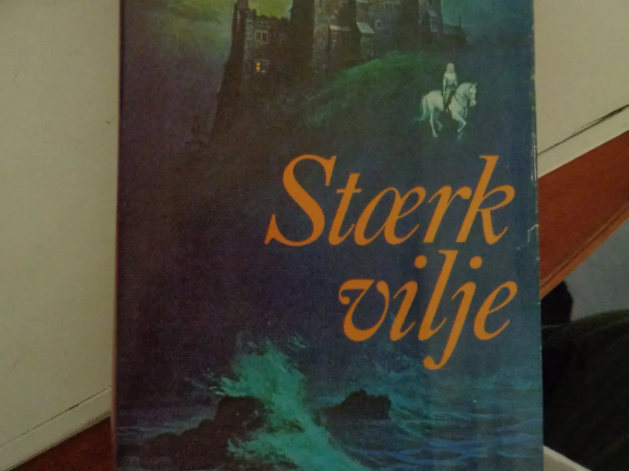 Billede 1 - Stræk Vilje