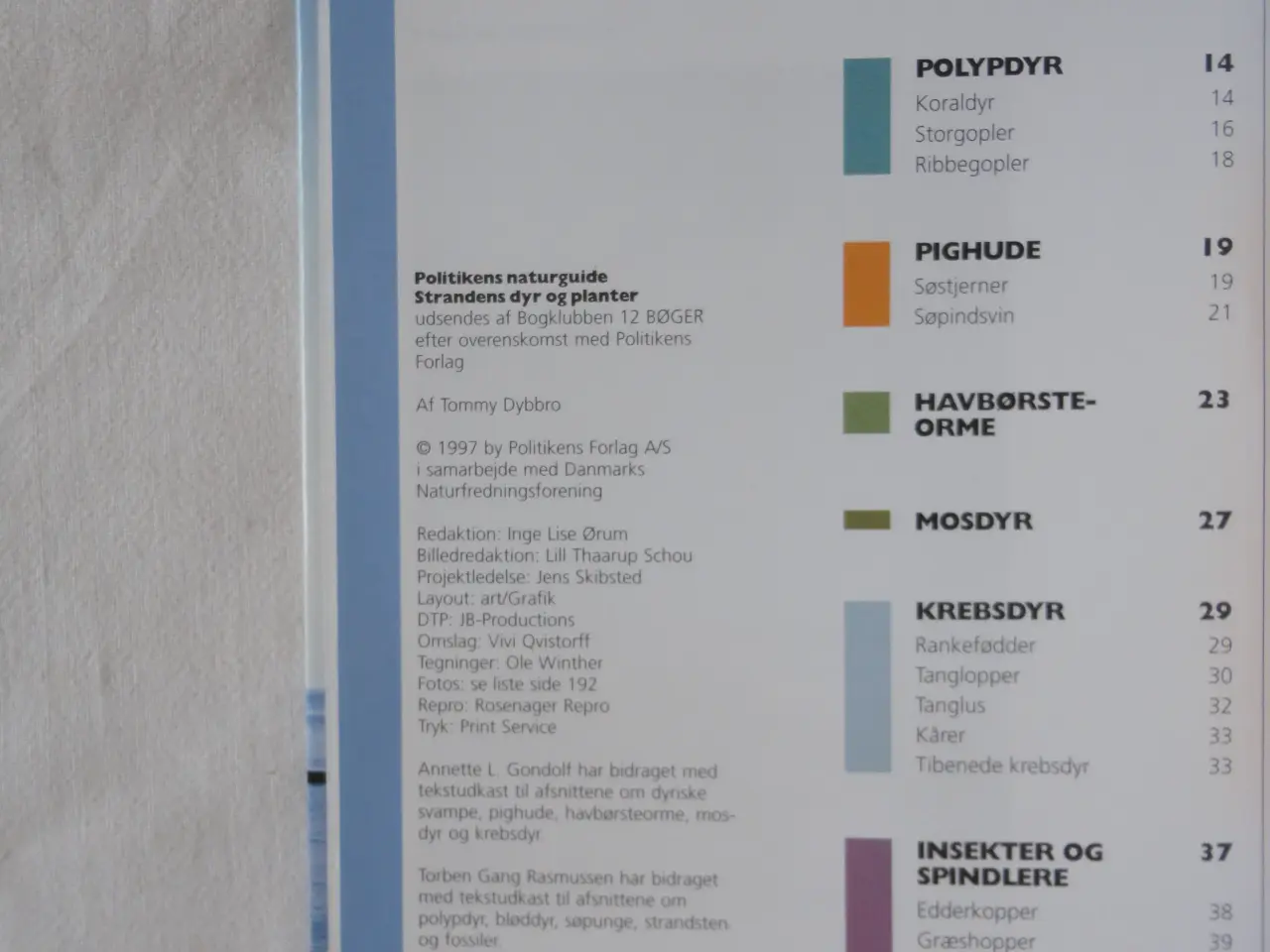 Billede 2 - Strandens Dyr og Planter :