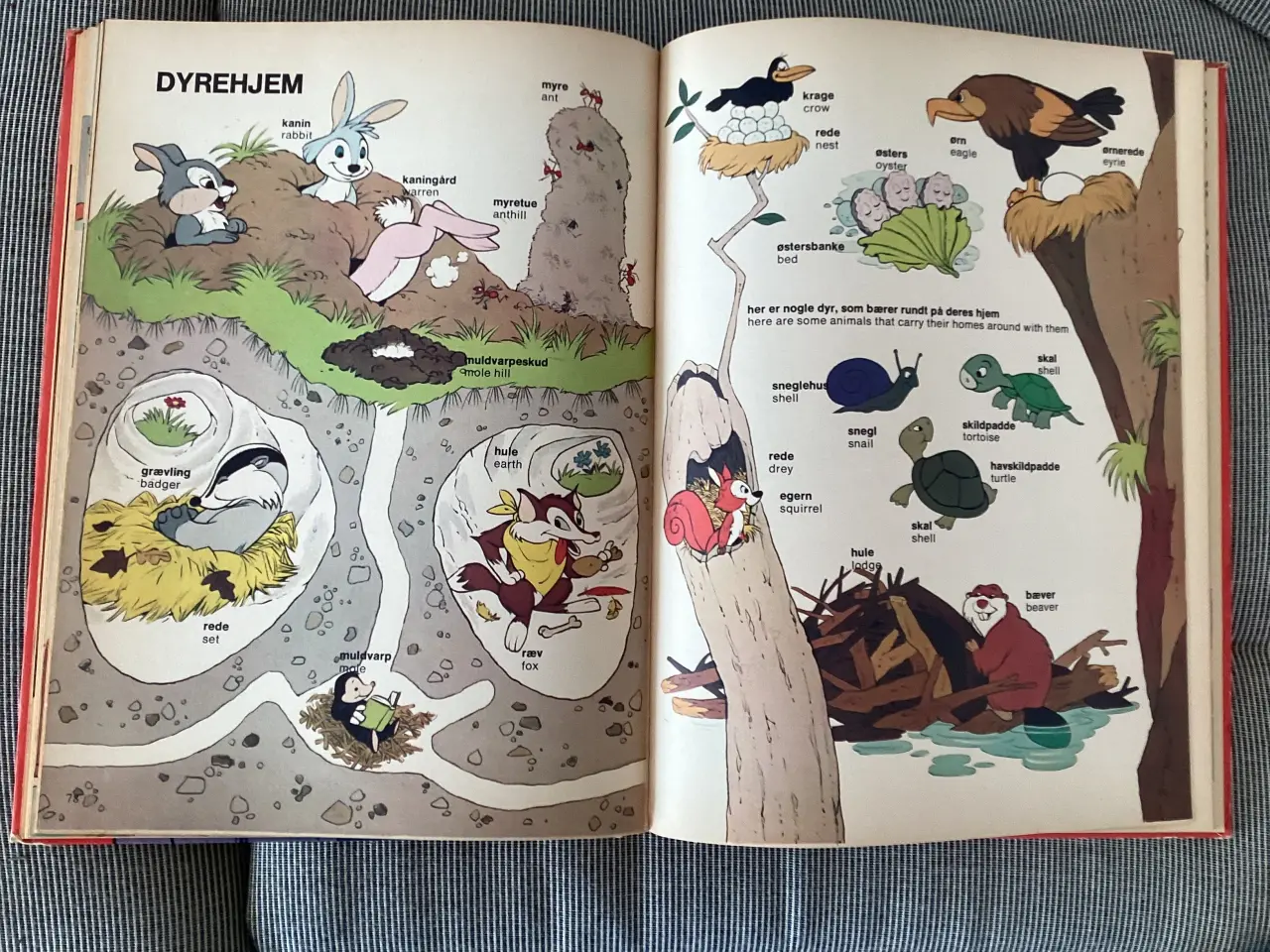 Billede 8 - Den store Walt Disney ordbog
