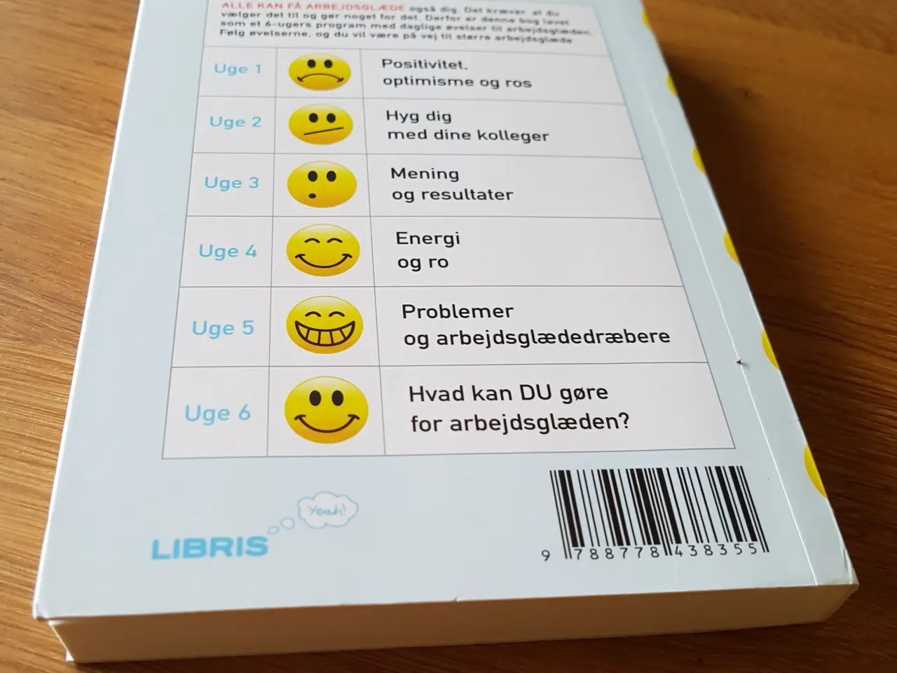 Billede 2 - Arbejdsglæde på 6 uger